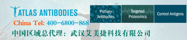 Atlas-antibodiesm6米乐App官网下载
联系方式