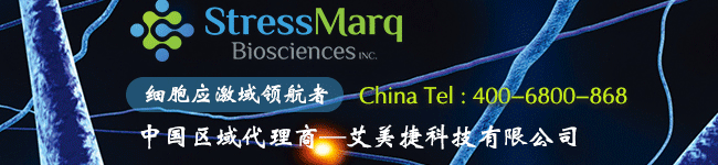 StressMarq代理 米乐app下载（中国）官网
科技
